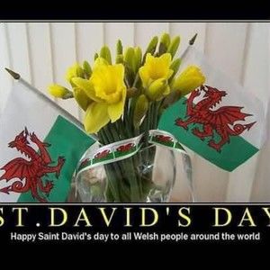 Meet your Posher, Sandy